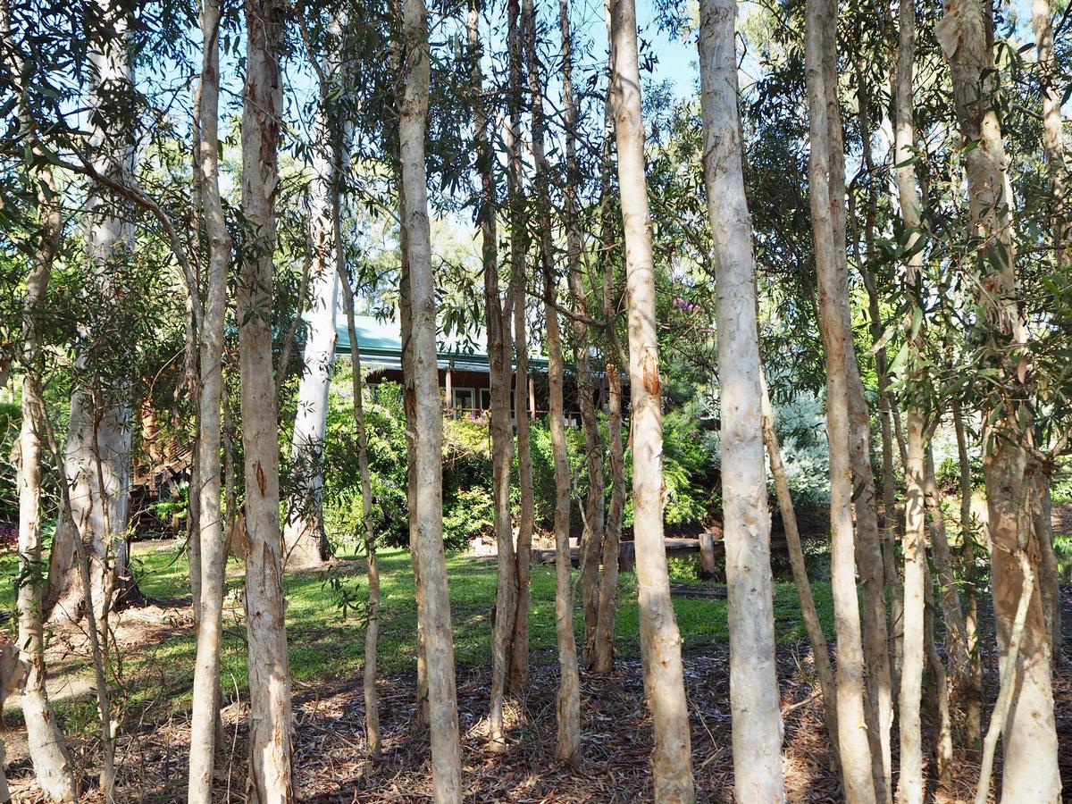 Lake Weyba Cottages Noosa Peregian Beach Zewnętrze zdjęcie
